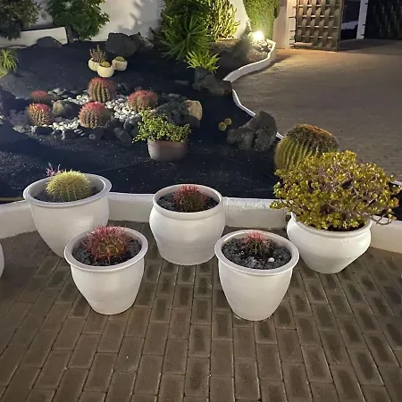 Beautiful And Large Lanzarote Spain Villa Tías